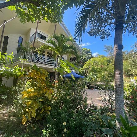 Villa Pura Vida Matapalo  Eksteriør billede