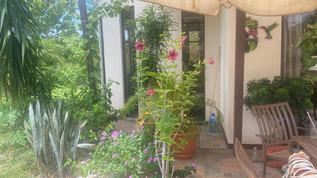 Villa Pura Vida Matapalo  Eksteriør billede