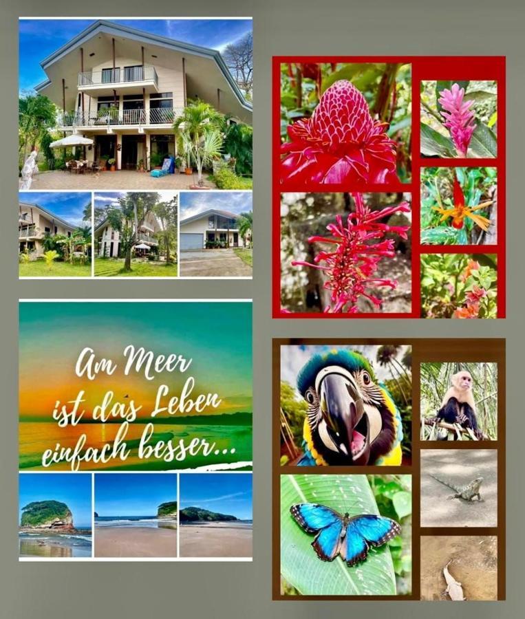 Villa Pura Vida Matapalo  Eksteriør billede