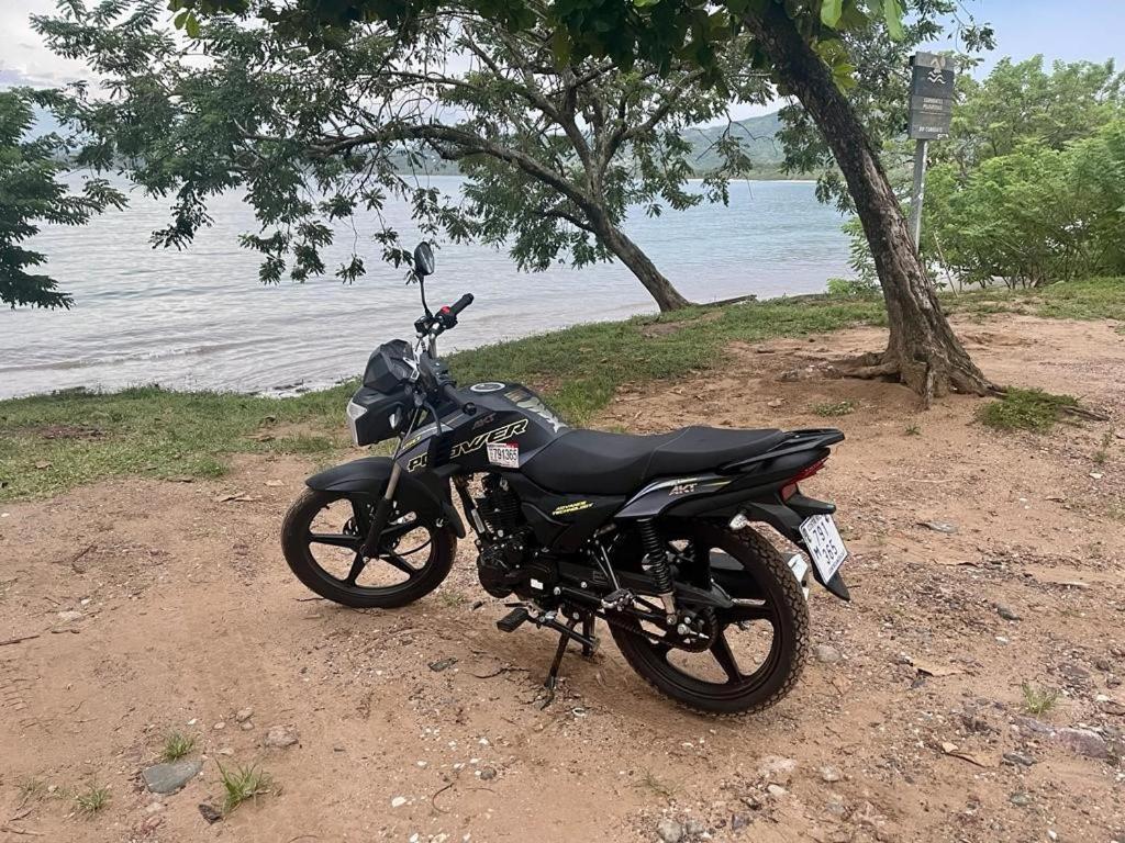 Villa Pura Vida Matapalo  Eksteriør billede