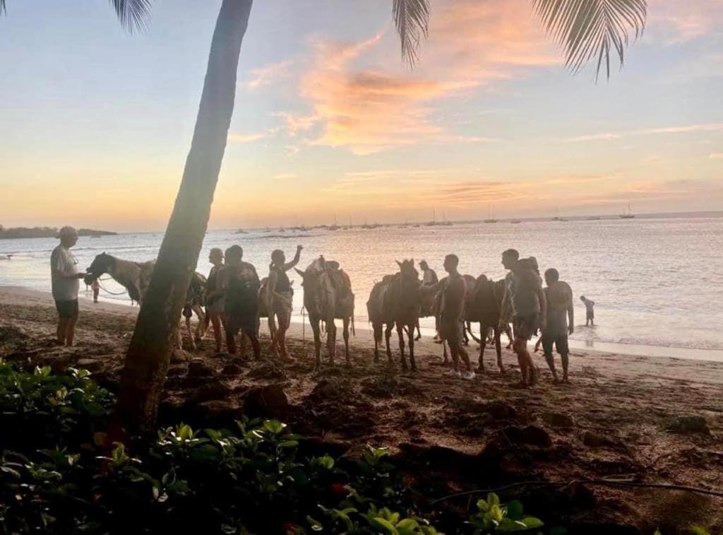 Villa Pura Vida Matapalo  Eksteriør billede
